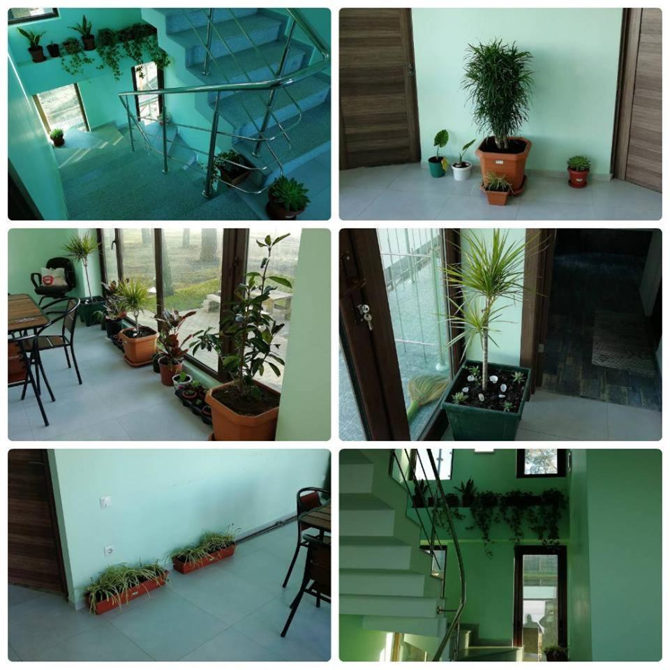 Гостевой дом Shekvetili Green House Экстерьер фото